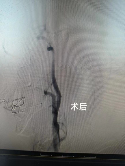 图片6.jpg