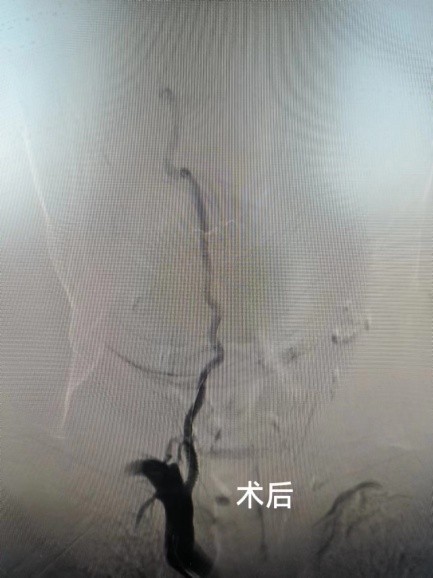 图片8.jpg