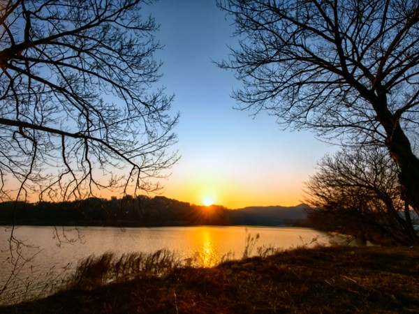 3355d2341a97e28d7c19c17831eca23.jpg