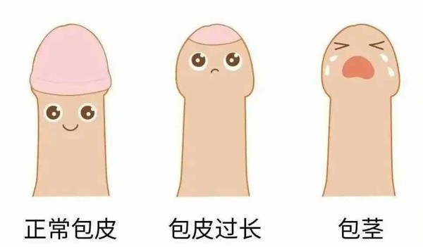 微信图片_20250708162101.jpg