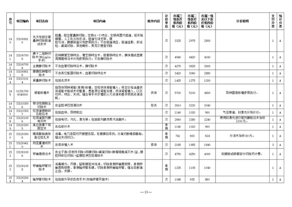 宜医保发〔2025〕9号安庆市医疗保障局关于调整全市公立医疗机构部分医疗服务价格（第二批）的通知(3)_13.jpg