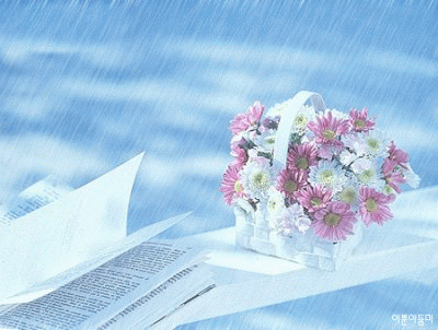 雨.gif