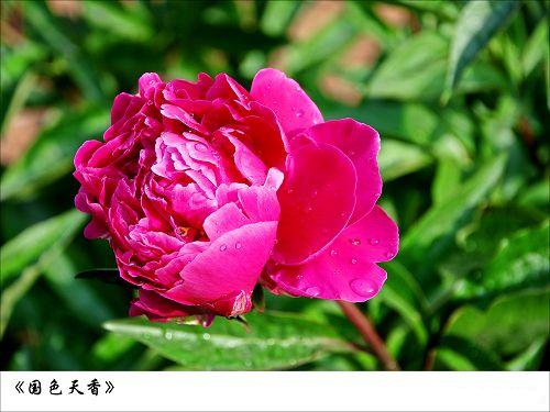 4bb37756x65b61f88f360&690.jpg