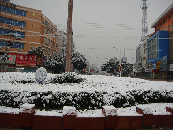 DSC02074.JPG