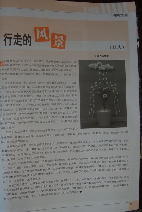 DSC03537.JPG