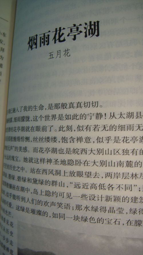 DSC04180.JPG